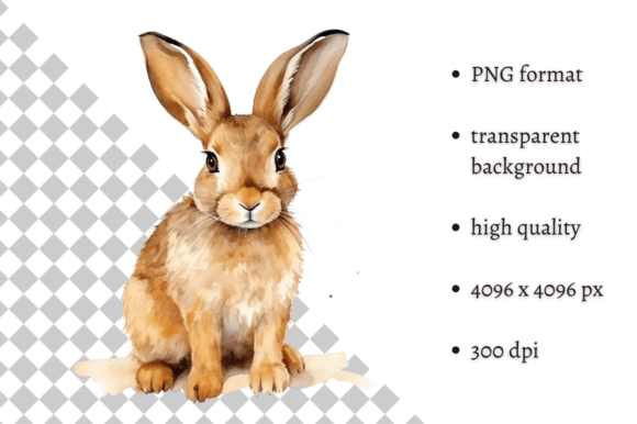 Download Watercolor Woodland Hare PNG Clipart - Watercolor Collection