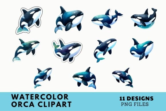 Download Watercolor Orca Clipart Illustration - Watercolor Collection