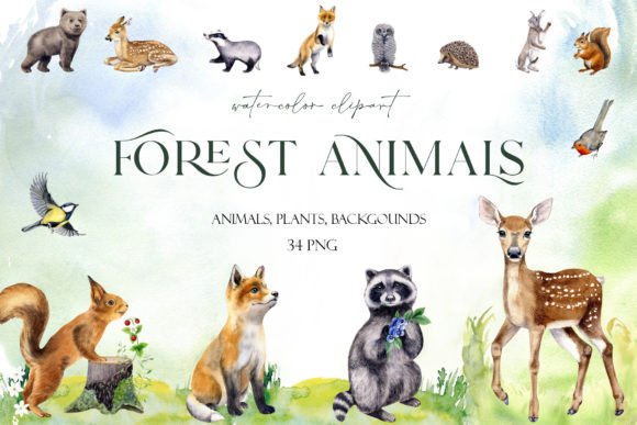 Download Watercolor Set Cute Woodland Animals Png - Watercolor Collection