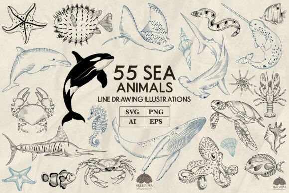 Download Sea Animals Line Art Collection Svg Png - Animal Collection