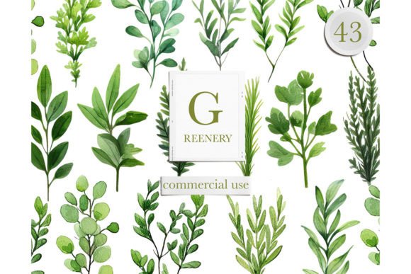 Download Watercolor Greenery Leaves Clipart - Watercolor Collection