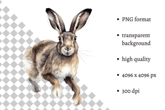 Download Watercolor Woodland Hare PNG Clipart - Watercolor Collection