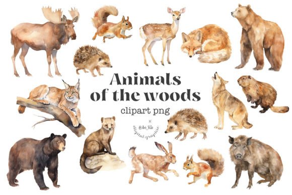 Download Woodland Animals - Animal Collection