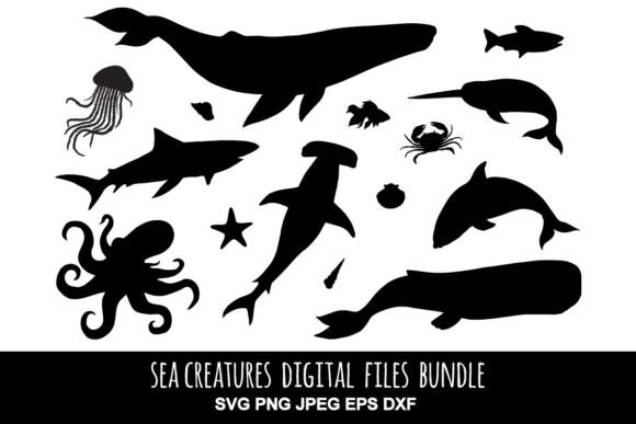 Download Sea Animals Png Jpeg Eps Set - Animal Collection