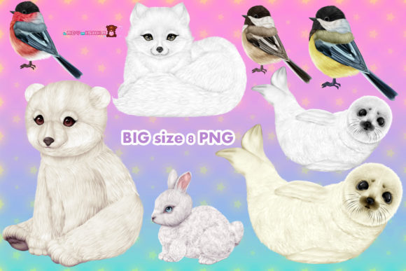 Download Arctic Animals - Animal Collection