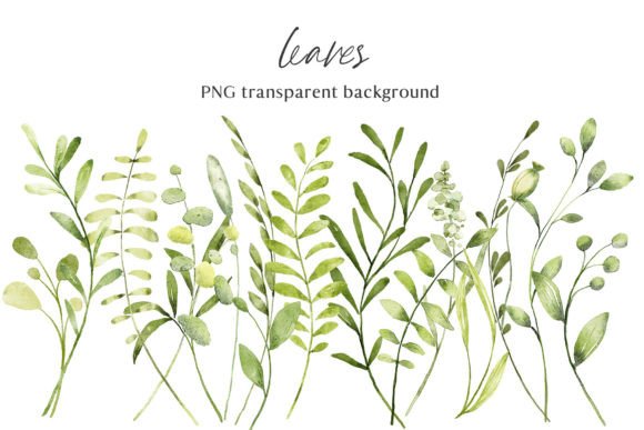 Download Leaves, Watercolor Clipart, PNG Files. - Watercolor Collection