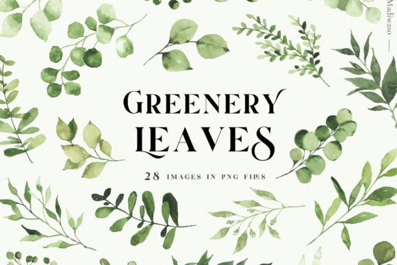 Download Green Leaves Watercolor Clipart Foliage - Watercolor Collection