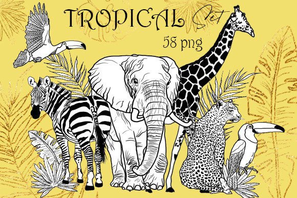 Download Tropical Linear Animals, Africa Clip Art - Animal Collection