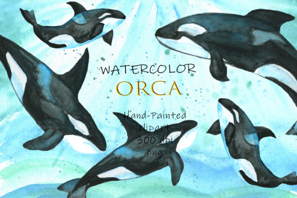 Download Watercolor Orca  Ocean Watercolor  Orca - Watercolor Collection