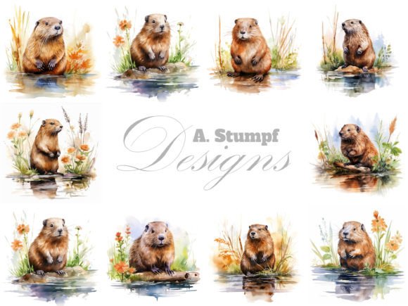 Download Beaver Clipart Watercolor Animal Bundle - Watercolor Collection