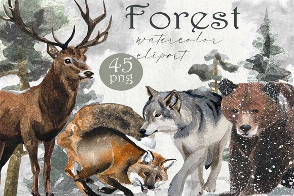 Download Watercolor Forest PNG, Forest Animals - Watercolor Collection