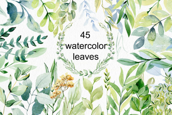 Download Watercolor Leaves Clipart. - Watercolor Collection
