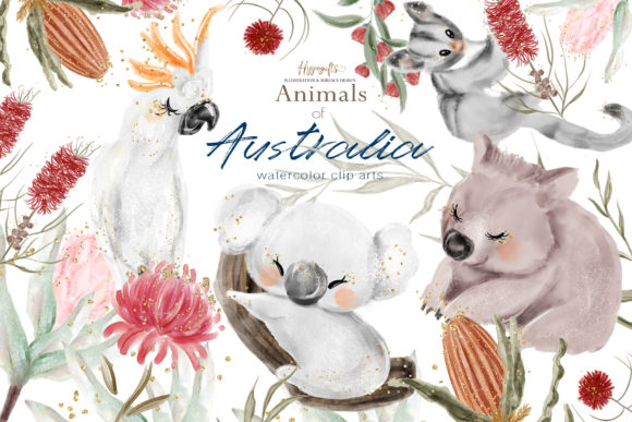 Download Australia Animals Illustration - Animal Collection