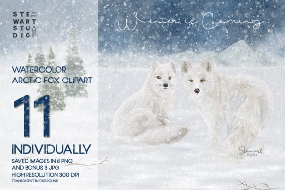 Download Watercolor Arctic Fox Clipart - Watercolor Collection
