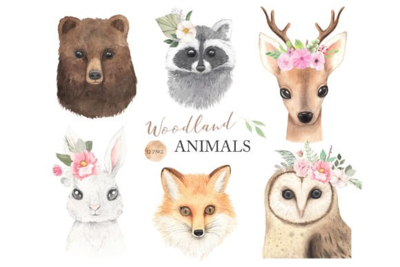 Download Watercolor Woodland Animals Clipart - Watercolor Collection