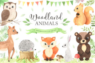 Download Watercolor Woodland Animals Set - Watercolor Collection