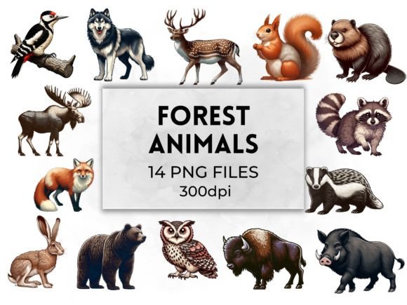 Download Forest Animals Woodland Creatures - Animal Collection