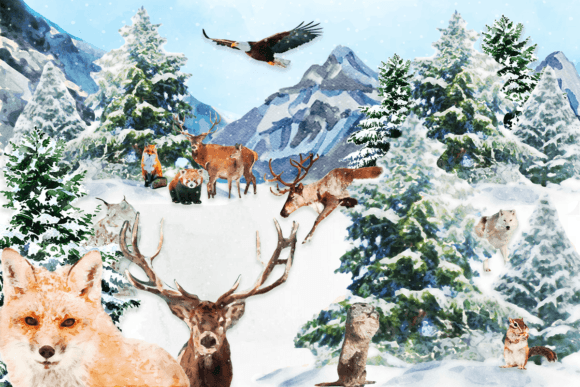 Download Watercolor Winter Animals Clipart - Watercolor Collection