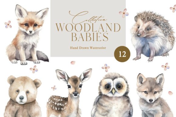 Download Watercolor Woodland Animals - Watercolor Collection